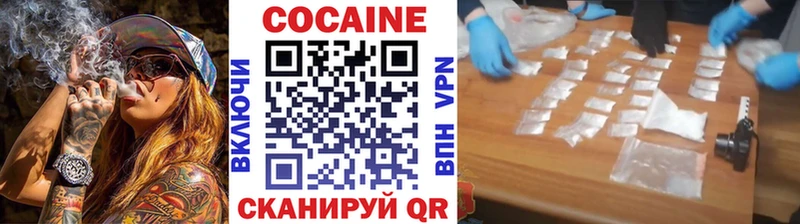 Кокаин Fish Scale  площадка наркотические препараты  Темников  где продают  
