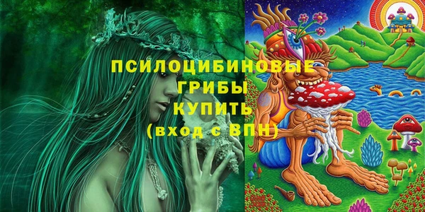 прущие крисы Краснотурьинск