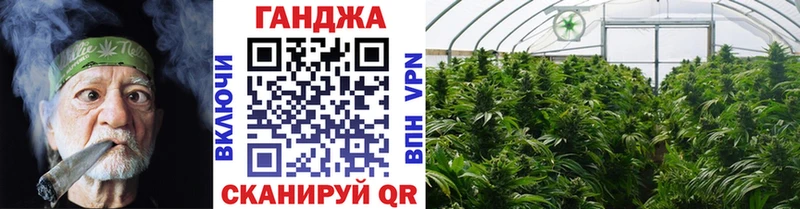 хочу   Темников  Бошки марихуана гибрид 
